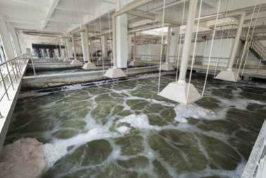 威立雅Veolia BIOSTYR曝氣生物濾池 (BAF)